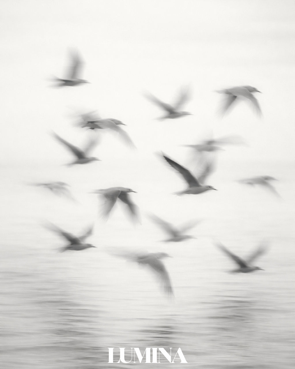 Between Silence and Flight